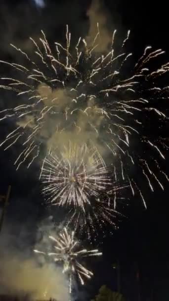 Πυροτεχνήματα Στη Βαλένθια Κατά Διάρκεια Της Νύχτας Crida Του Φεστιβάλ — Αρχείο Βίντεο