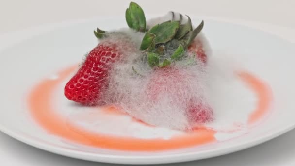 Verwende Aardbeien Bedekt Met Schimmel Een Bord Roteert 360 — Stockvideo