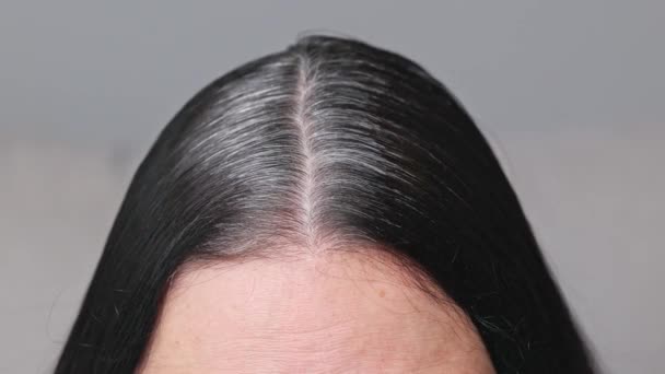 Γυναίκες Κοιτάνε Γκρίζα Μαλλιά Χωρισμός Μαύρων Γυναικείων Μαλλιών Γκρίζες Ρίζες — Αρχείο Βίντεο