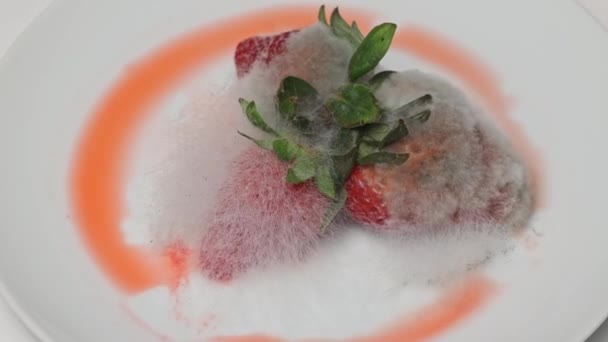 Verwende Aardbeien Bedekt Met Schimmel Een Bord — Stockvideo