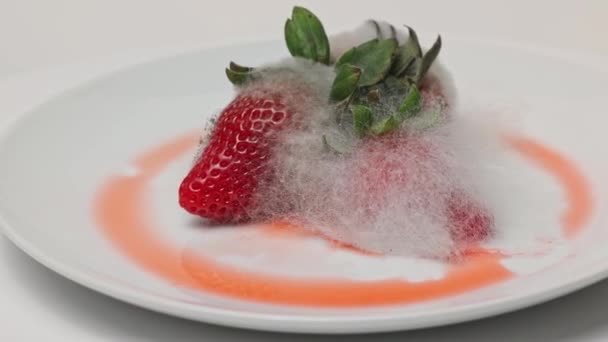 Λιωμένες Φράουλες Καλυμμένες Μούχλα Πιάτο Περιστροφή 360 — Αρχείο Βίντεο