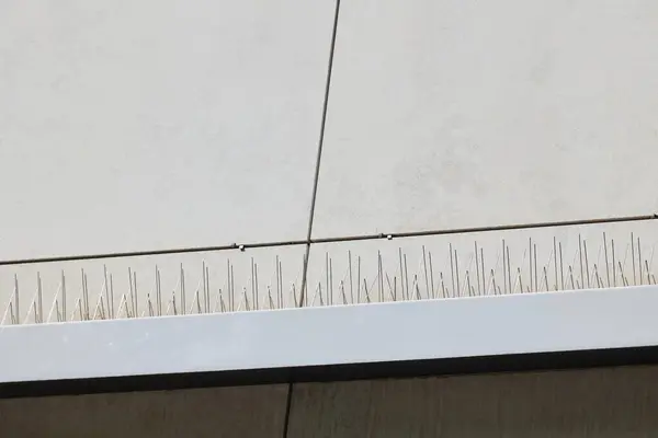 Güvercinlerden koruma. Köşedeki metal raptiyeler..