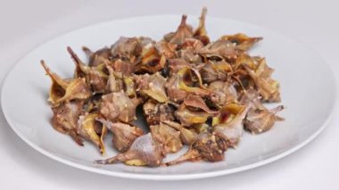 Beyaz bir tabakta dönen Canailli deniz salyangozları. Bolinus brandaris beyaz bir tabakta dönen aperatifleri yemeye hazır..