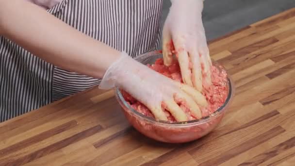 Hausgemachte Küche Eine Frau Mischt Von Hand Fleisch Einer Schüssel — Stockvideo
