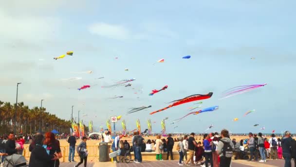 Festiwal Latawców Plaży Walencja Hiszpania Kwietnia 2023 — Wideo stockowe