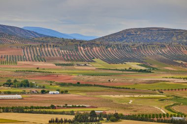 Çiftliklerin ve tarımsal alanların havadan görünüşü. Consuegra, Toledo, İspanya.