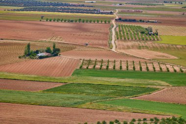 Consuegra, Toledo, İspanya 'daki tarım arazilerinin havadan görünüşü.