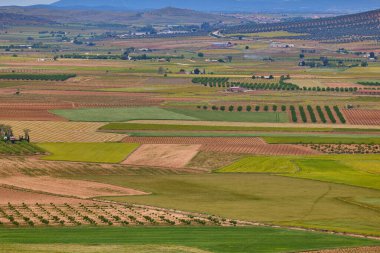 Consuegra, Toledo, İspanya 'daki tarım arazilerinin havadan görünüşü.