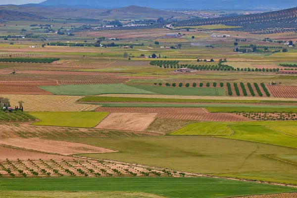 Consuegra, Toledo, İspanya 'daki tarım arazilerinin havadan görünüşü.