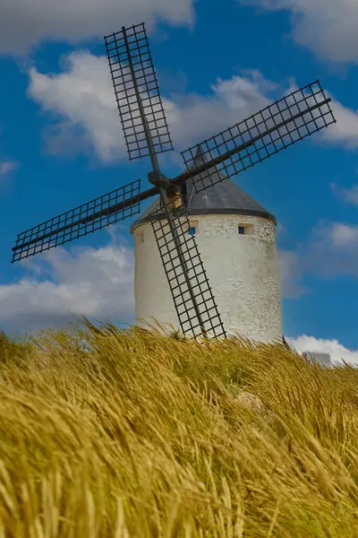 Consuegra Köyü 'nün tepesindeki eski yel değirmeni. Devlerin ve Don Kişot hikayelerinin diyarı..