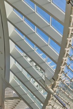 Güneşli bir günde Sanat ve Bilim Şehri 'nin modern mimarisi. Valencia, İspanya - 27 Ocak 2024.