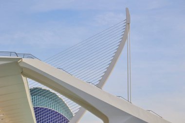 Güneşli bir günde Sanat ve Bilim Şehri 'nin modern mimarisi. Valencia, İspanya - 27 Ocak 2024.