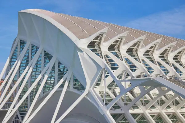 Güneşli bir günde Sanat ve Bilim Şehri 'nin modern mimarisi. Valencia, İspanya - 27 Ocak 2024.