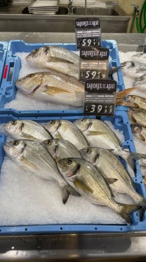 Dorado buzlu taze deniz balığı. Dükkanda sağlıklı deniz ürünleri tabağı var. Valencia, İspanya - 17 Haziran 2024.