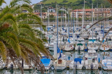 Tekneler Urola marinasında demirli. Zumaia, İspanya - 11 Eylül 2024.