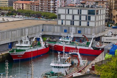 Ticari balıkçı tekneleri Lekeitio limanına yanaştı. Lekeitio, İspanya - 11 Eylül 2024.