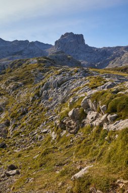 Avrupa 'nın tepelerindeki güzel manzara. Picos de Europa, Fuente De - İspanya Milli Parkı.