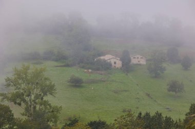 Vadinin üzerinde sabah sisi.