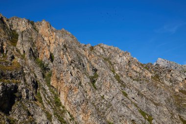 Avrupa 'nın tepelerinde güzel bir manzara.