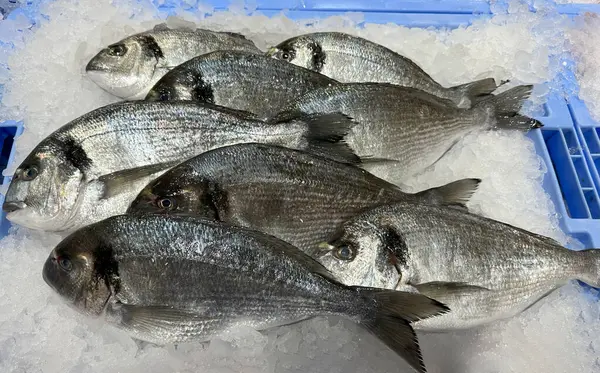 Dorado buzlu taze deniz balığı. Dükkanda sağlıklı deniz ürünleri tabağı.