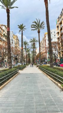 Bulutlu bir gökyüzünün altında palmiye ağaçları ve tarihi binalarla geniş bir yaya geçidi. Valencia, İspanya - 9 Şubat 2025
