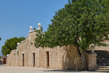 Denia Kalesi 'nin antik taş kalıntıları arasında büyüyen esnek bir ağaç doğayla İspanya' nın tarihi mimarisini harmanlıyor.