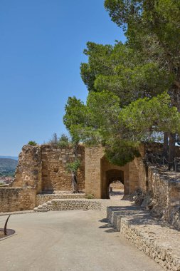 Denia Kalesi 'nin antik taş kalıntıları arasında büyüyen esnek bir ağaç doğayla İspanya' nın tarihi mimarisini harmanlıyor.