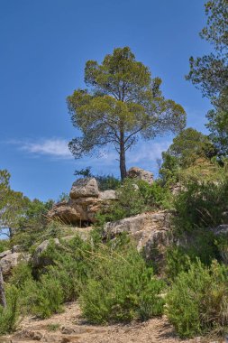 Chulilla 'daki güzel Turia Nehri vadisi ve kanyonu. Chulilla, Valensiyalı Topluluğu, İspanya.