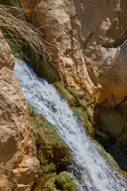 Güneşli bir günde, küçük bir şelale kanyonda yosunlu kayaların üzerinden akıyor..