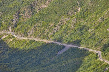 Ormanın içinden geçen sarmal dağ yolu.