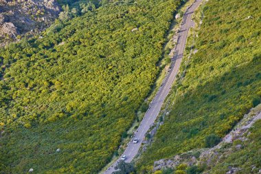 Ormanın içinden geçen sarmal dağ yolu.