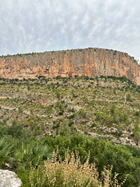 Bulutlu gökyüzünün altında yeşil bitki örtüsü olan büyük kırmızı kaya uçurumu.