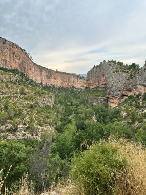Yeşil ormanı ve kızıl kayalıkları olan manzara kanyonu.