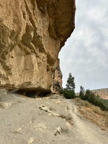 Yeşil çalılar ve ağaçlarla kayalık uçurum boyunca yürüyüş yolu..