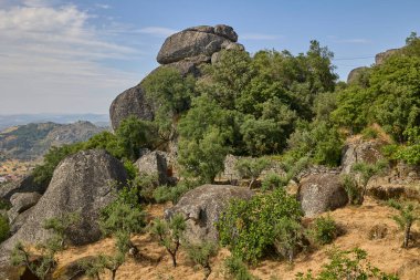 Monsanto Portekiz 'de granit kayalar ve zeytin ağaçları.