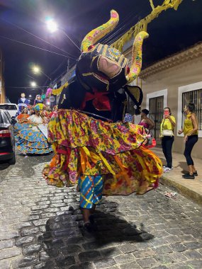 Olinda, Pernambuco, Brezilya - 02 / 08 / 2024 - Brezilya 'daki Olinda Karnavalı' ndan Sahneler