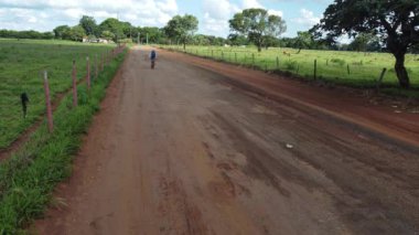 Orta yaşlı bir adam Brezilya kırsalında Goias eyaletinde Brezilya Cerrado 'da dağ bisikleti sürüyor.