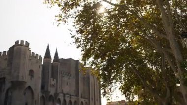 08.31.2024 Avignon Fransa. Ağaçların tepesinden Papes Sarayı 'nın önüne doğru.