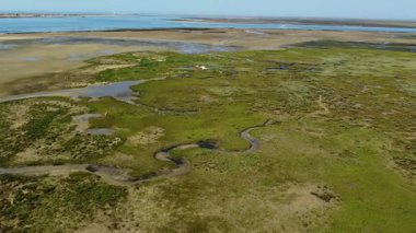 Ria Formosa ile nehir yatağı Algarve, Portekiz 'de sular çekildiğinde açıktır.