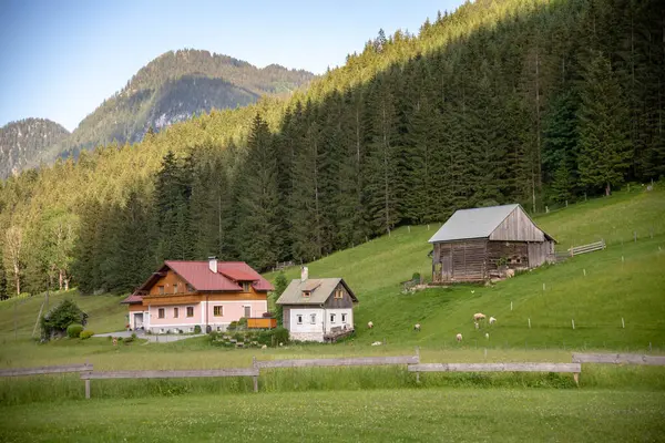 Alplerin güzel manzarası