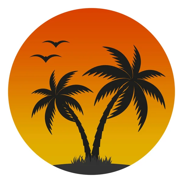 Illustration Une Île Avec Palmier Des Mouettes Sur Fond Coucher — Image vectorielle