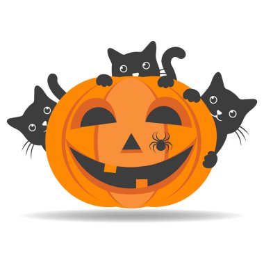 Beyaz arka planda Cadılar Bayramı için kedi ve örümcekli balkabağı tasviri