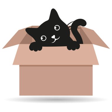 Beyaz arka planda karton kutuda sevimli siyah kedi tasviri