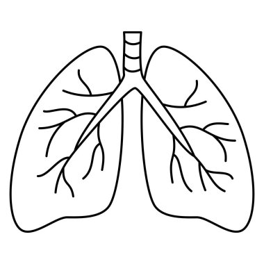 Akciğerler solunum sisteminin organlarıdır. Şeffaf arkaplanda izole edilmiş modern siyah ince çizgi vektör ikonu. Çizgi kalınlığı düzenlenebilir