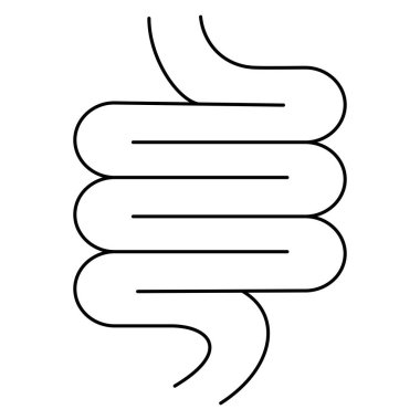 Gastrobağırsak sistemi ya da insan sindirim sistemi. Şeffaf arkaplanda izole edilmiş modern siyah ince çizgi vektör ikonu. Çizgi kalınlığı düzenlenebilir
