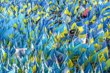 Kyiv, Ukraine - October 27, 2023: Close-up of numerous small Ukrainian flags on display at the Lawn of National Memory, on Maidan Nezalezhnosti in Kyiv.  Each flag commemorates fallen defenders in Russia's war against Ukraine, symbolizing national re clipart