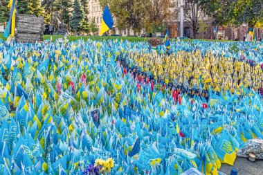 Kyiv, Ukrayna - 27 Ekim 2023: Rusya 'nın Ukrayna' yı işgalinden mağlup olanları anmak için Meydan Nezalezhnosti 'deki Ulusal Bellek Çimenindeki Ukrayna bayrakları. Kişisel bayraklarla dolu bu anıt, ulusal yadigarı sembolize ediyor.