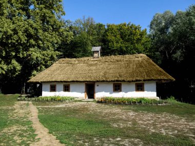 Ukrayna, Pyrohiv (Kyiv) - 17 Eylül 2017: Beyaz duvarlı, sazdan tavanlı ve yeşil bir ormanın arka planında dört küçük pencereli büyük bir Ukrayna otantik evi. P 'deki Mimarlık ve Yaşam Müzesinde Ukrayna' nın antik kırsal görüşleri