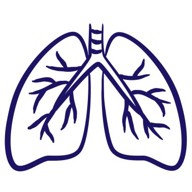 İnsan ciğerleri, fırça çizgisi ile çizilmiş minimum vektör simgesi. Mavi doğrusal tıbbi resim arkaplanda izole edildi