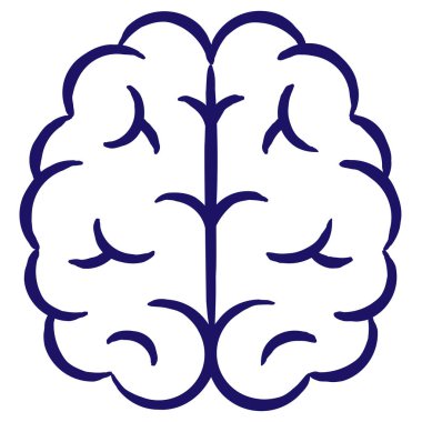 İnsan beyninin iki yarımküresinin mavi dış hat ikonu, fırça çizgisi ile çizilmiş. Şeffaf arkaplanda izole edilmiş basit vektör minimal doğrusal pictogram